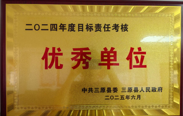 砥礪耕耘結(jié)碩果 篤行致遠譜新篇 —— 咸陽市三原縣養(yǎng)老保險經(jīng)辦中心榮獲 2024 年度目標(biāo)責(zé)任考核 “優(yōu)秀” 等次
